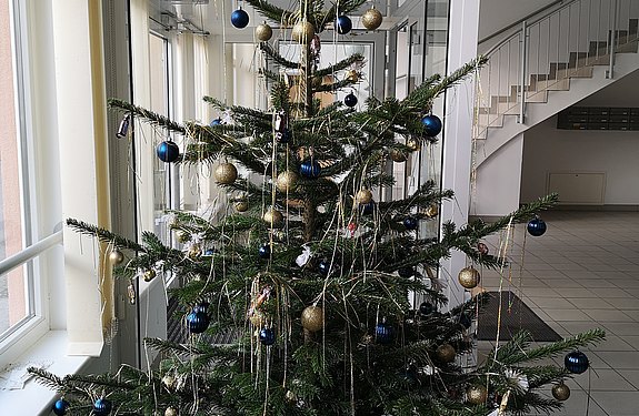 Christbaum aufputzen im Betreuten-Wohnen