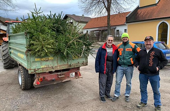 Knut - Christbaumabholaktion 2020